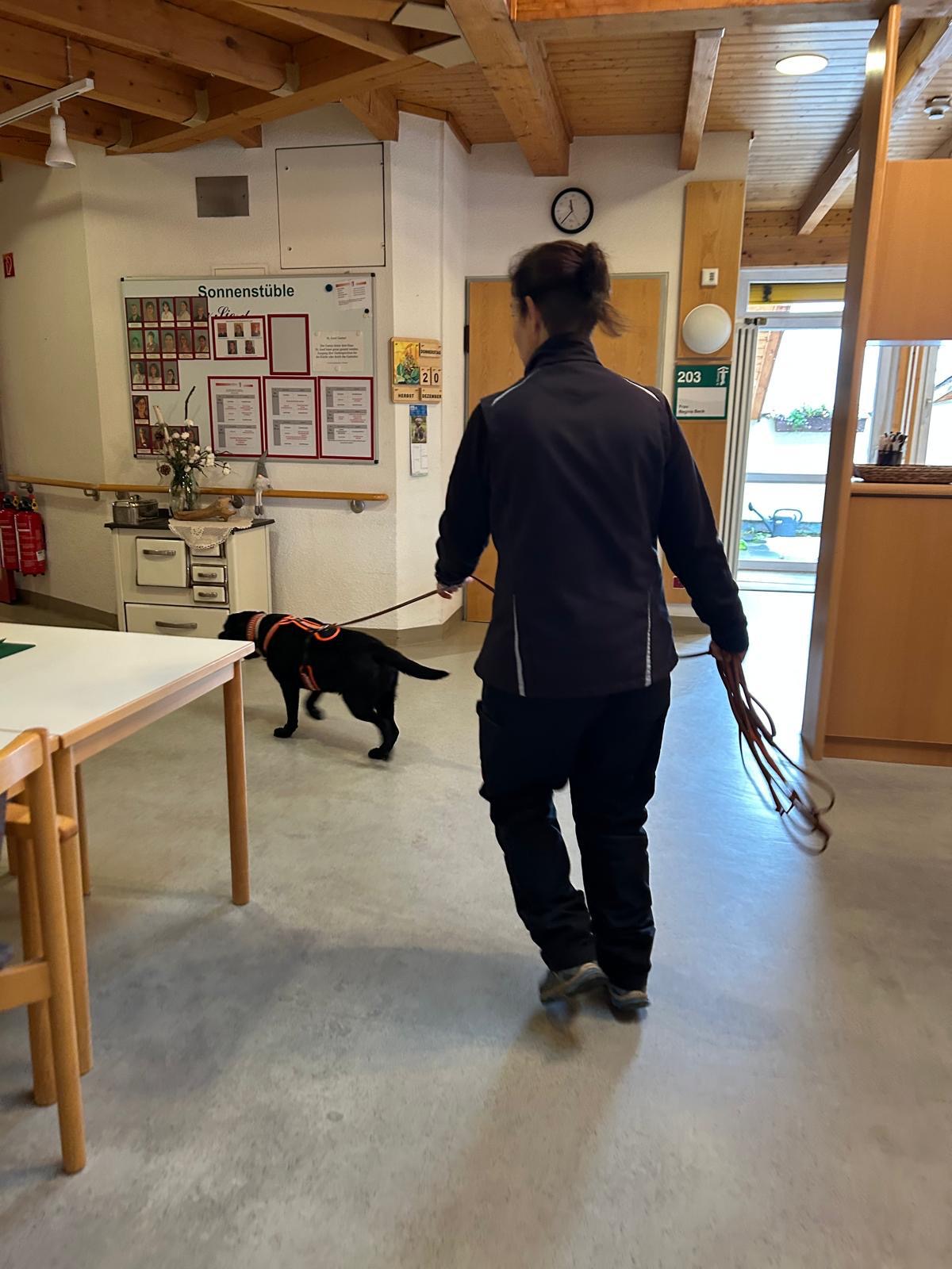 8749497f-73cc-4feb-85c4-402b052cd060