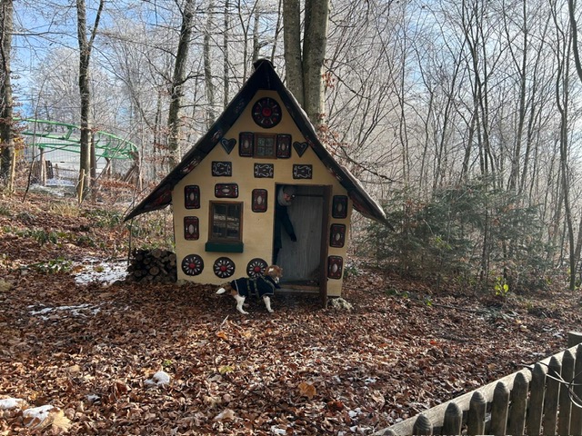 a17bea9d-d39c-4092-84b5-f4726e0cf121