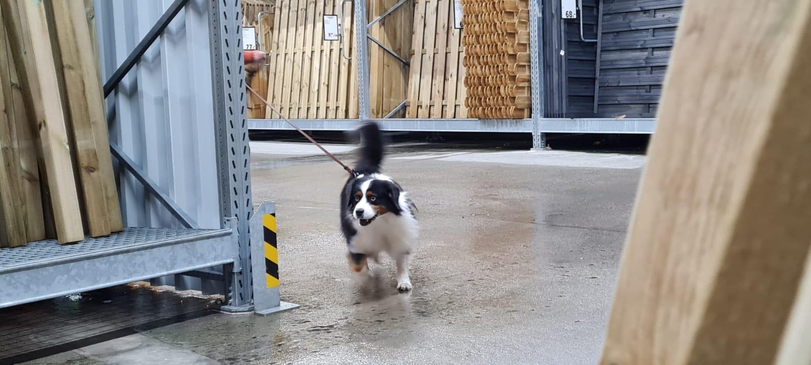 04740f19-5db9-4fe7-9e98-a3a183750555