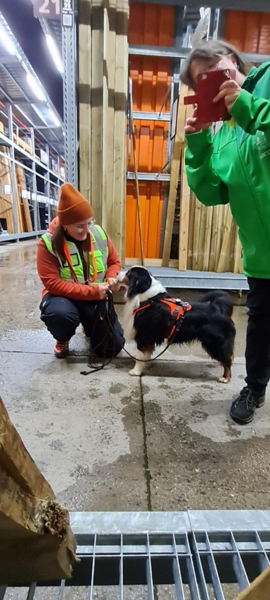 4492f5be-97a3-466f-8037-4c8bf4ae206f