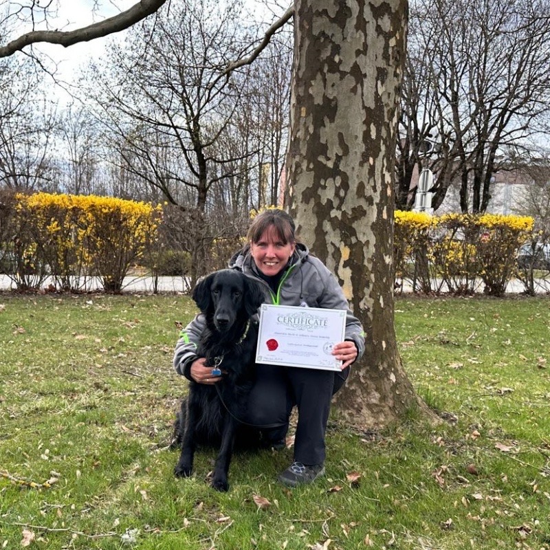 66a02208-e389-46ce-8797-f7f436b0c19e