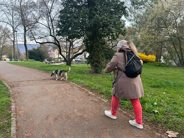 f0f18d65-f1eb-4711-ab30-3f6fbc2acd8f