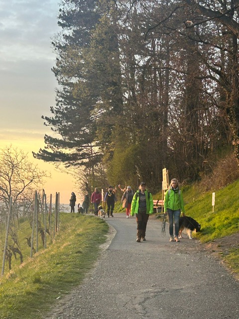 f1bbd5bc-eeac-4059-8c15-9ebb435e83c8